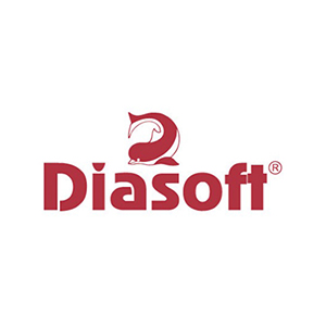 Diasoft Corporation